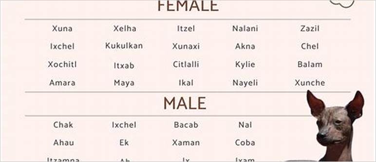 Mayan names for males